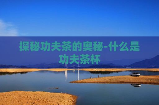 探秘功夫茶的奥秘-什么是功夫茶杯