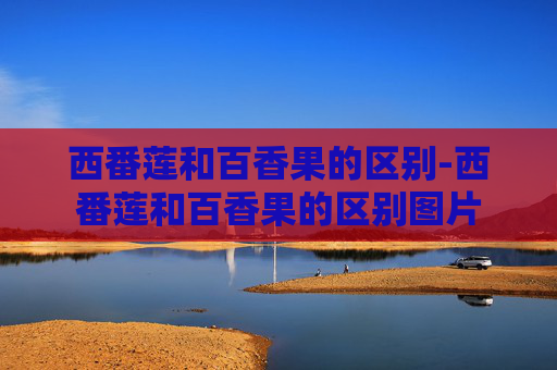 西番莲和百香果的区别-西番莲和百香果的区别图片