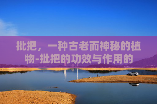 批把，一种古老而神秘的植物-批把的功效与作用的