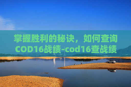 掌握胜利的秘诀，如何查询COD16战绩-cod16查战绩网站