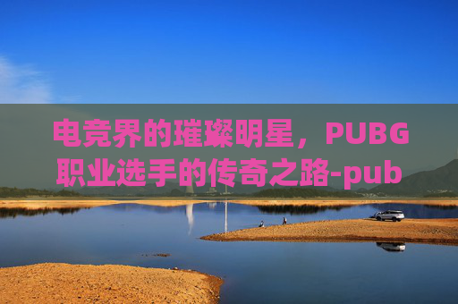 电竞界的璀璨明星，PUBG职业选手的传奇之路-pubg职业选手实力排名