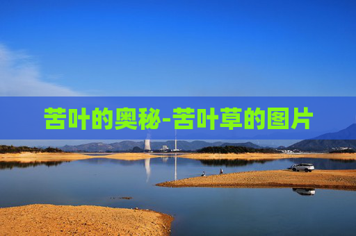 苦叶的奥秘-苦叶草的图片
