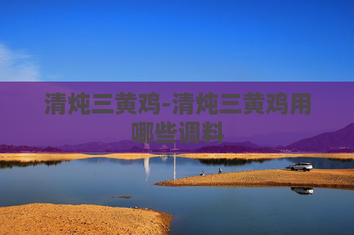 清炖三黄鸡-清炖三黄鸡用哪些调料