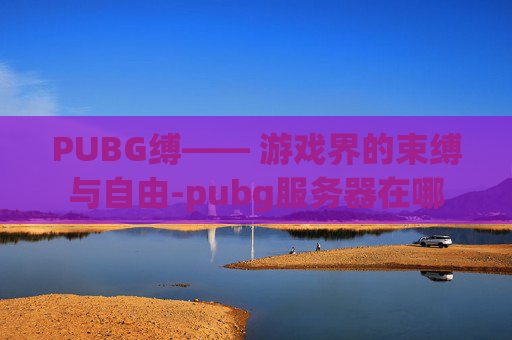 PUBG缚—— 游戏界的束缚与自由-pubg服务器在哪