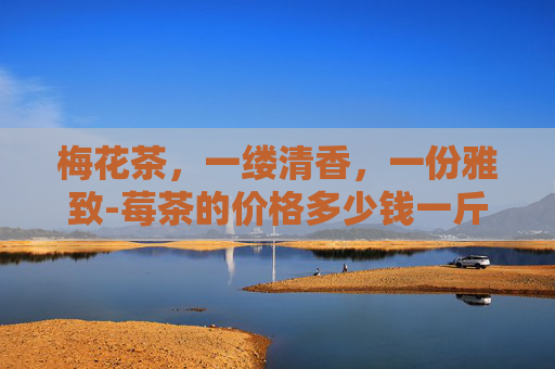 梅花茶，一缕清香，一份雅致-莓茶的价格多少钱一斤