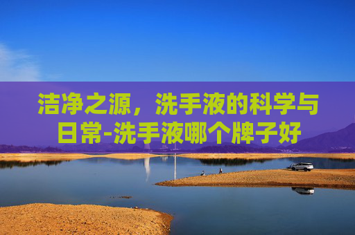 洁净之源，洗手液的科学与日常-洗手液哪个牌子好