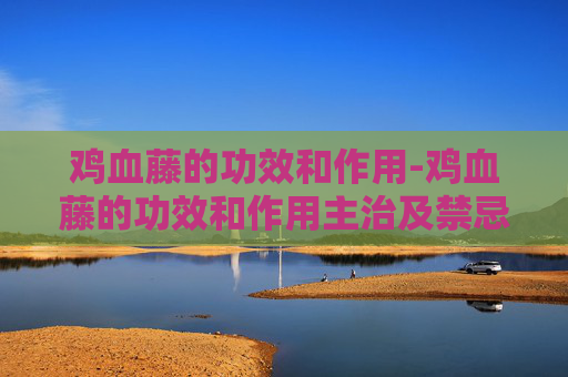 鸡血藤的功效和作用-鸡血藤的功效和作用主治及禁忌