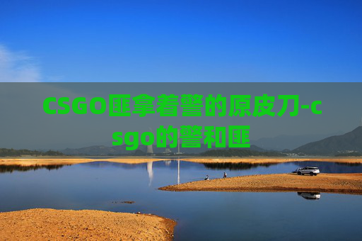 CSGO匪拿着警的原皮刀-csgo的警和匪