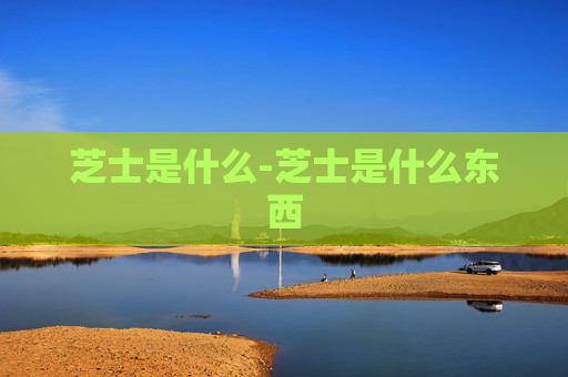 芝士是什么-芝士是什么东西