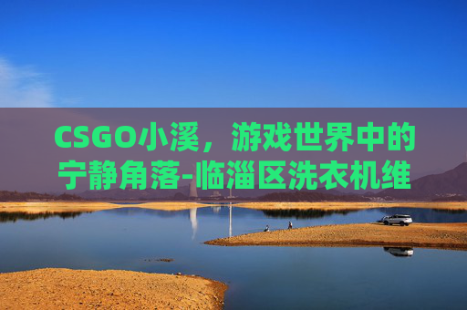CSGO小溪，游戏世界中的宁静角落-临淄区洗衣机维修