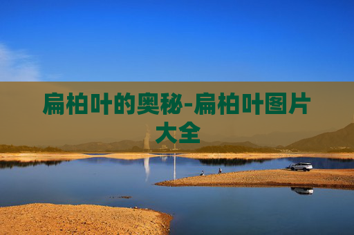 扁柏叶的奥秘-扁柏叶图片大全