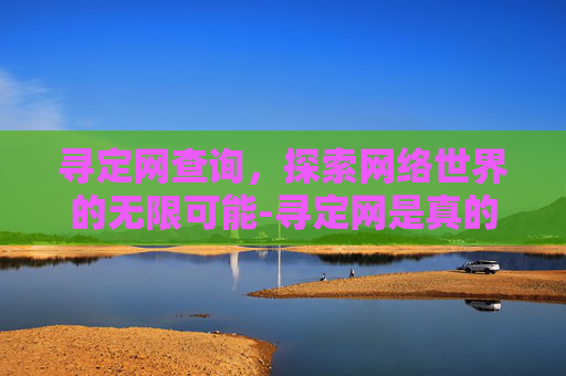 寻定网查询，探索网络世界的无限可能-寻定网是真的吗