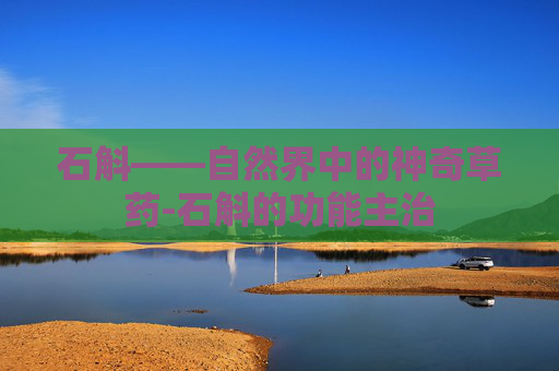 石斛——自然界中的神奇草药-石斛的功能主治