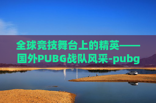 全球竞技舞台上的精英——国外PUBG战队风采-pubg的al战队是个国家的