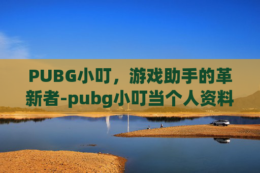 PUBG小叮，游戏助手的革新者-pubg小叮当个人资料