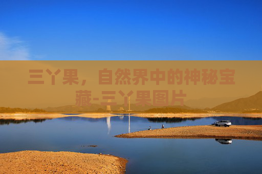 三丫果，自然界中的神秘宝藏-三丫果图片