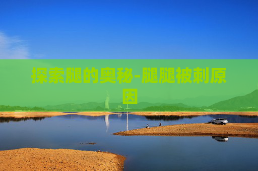 探索腿的奥秘-腿腿被刺原因