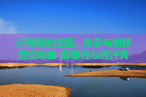 汗青蚂蚁庄园，传承与创新的交响曲-留取丹心照汗青的汗青是什么