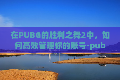 在PUBG的胜利之舞2中，如何高效管理你的账号-pubg胜利之舞99