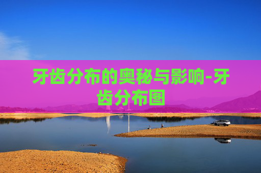 牙齿分布的奥秘与影响-牙齿分布图