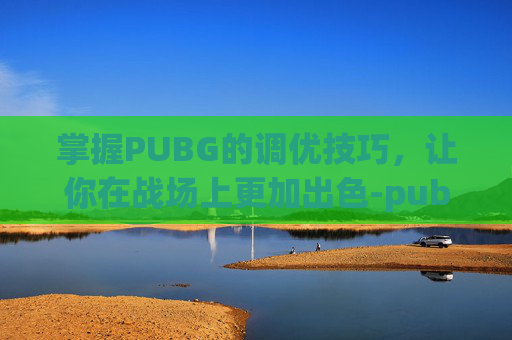 掌握PUBG的调优技巧，让你在战场上更加出色-pubg怎么调倍镜的倍数