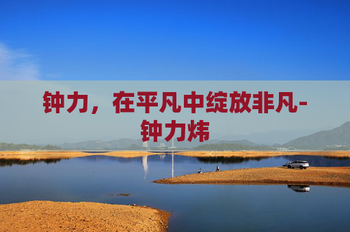 钟力,在平凡中绽放非凡-钟力炜 钟力,在平凡中绽放非凡-钟力炜