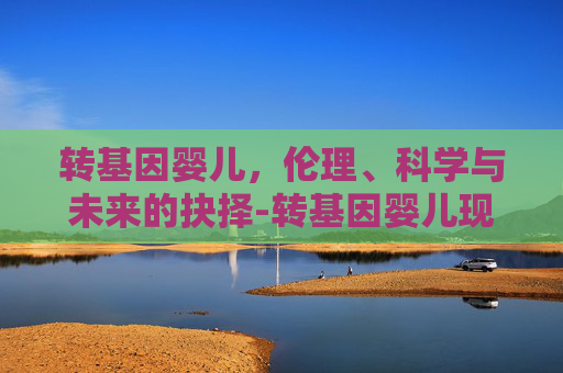 转基因婴儿，伦理、科学与未来的抉择-转基因婴儿现状