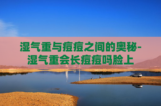 湿气重与痘痘之间的奥秘-湿气重会长痘痘吗脸上