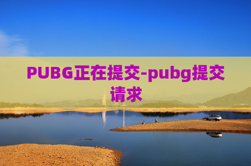 PUBG正在提交-pubg提交请求