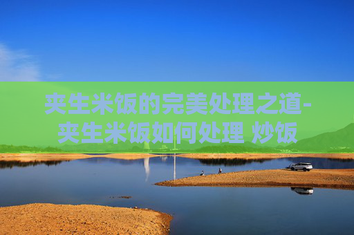 夹生米饭的完美处理之道-夹生米饭如何处理 炒饭