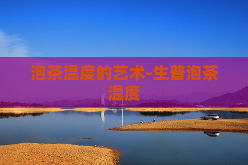 泡茶温度的艺术-生普泡茶温度