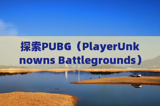 探索PUBG（PlayerUnknowns Battlegrounds）工资杯的奥秘-南京小学教师