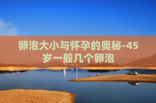 卵泡大小与怀孕的奥秘-45岁一般几个卵泡