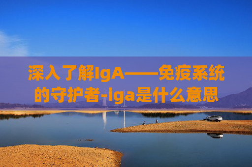 深入了解IgA——免疫系统的守护者-iga是什么意思