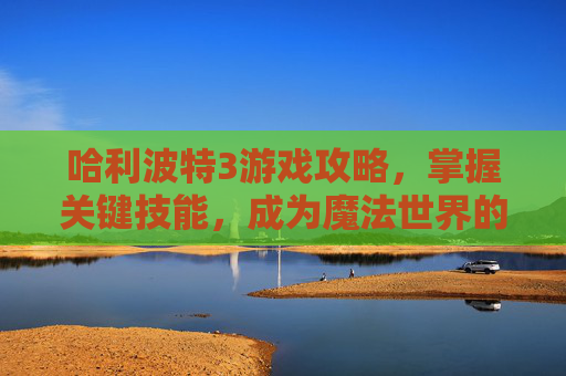 哈利波特3游戏攻略，掌握关键技能，成为魔法世界的终极巫师-产品商标怎么查