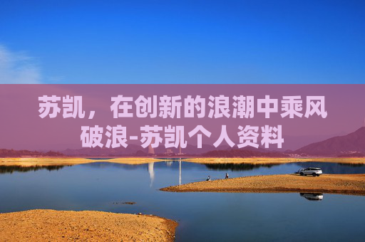 苏凯，在创新的浪潮中乘风破浪-苏凯个人资料