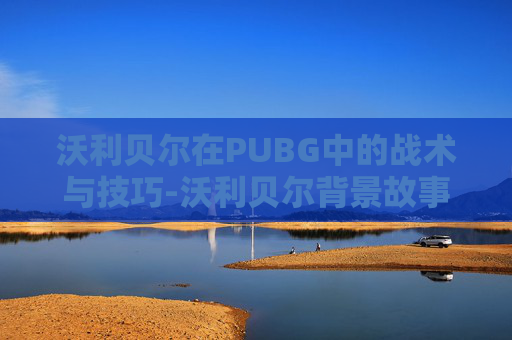 沃利贝尔在PUBG中的战术与技巧-沃利贝尔背景故事多震撼