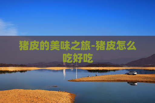 猪皮的美味之旅-猪皮怎么吃好吃