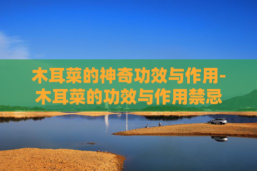木耳菜的神奇功效与作用-木耳菜的功效与作用禁忌