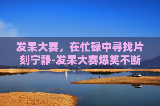 发呆大赛，在忙碌中寻找片刻宁静-发呆大赛爆笑不断