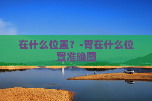 在什么位置？-胃在什么位置准确图