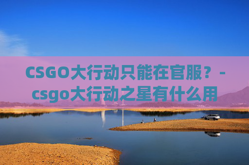 CSGO大行动只能在官服？-csgo大行动之星有什么用