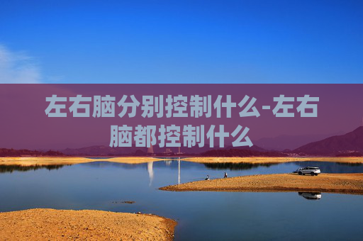 左右脑分别控制什么-左右脑都控制什么