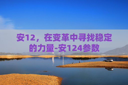 安12，在变革中寻找稳定的力量-安124参数