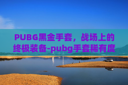 PUBG黑金手套，战场上的终极装备-pubg手套稀有度排名