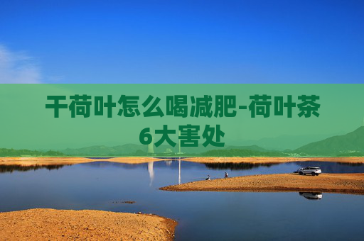 干荷叶怎么喝减肥-荷叶茶6大害处