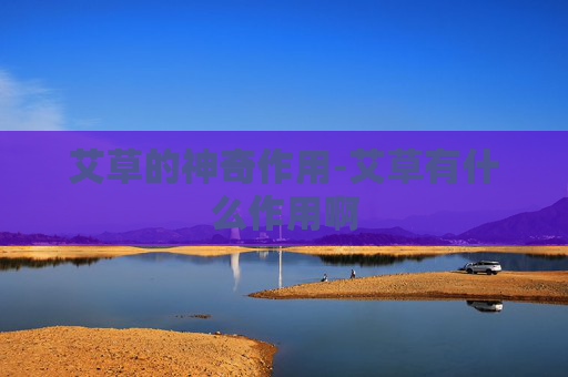 艾草的神奇作用-艾草有什么作用啊