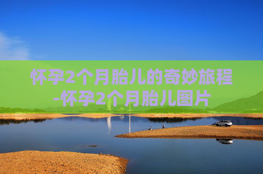 怀孕2个月胎儿的奇妙旅程-怀孕2个月胎儿图片