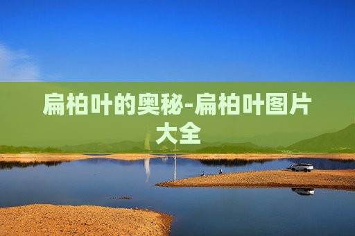 扁柏叶的奥秘-扁柏叶图片大全