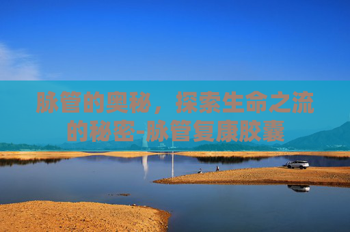 脉管的奥秘，探索生命之流的秘密-脉管复康胶囊